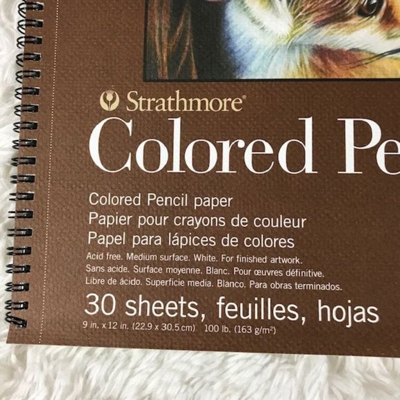 NWOT Strathmore Colored Pencil 9 x 12 Pad 12 Colored Pencils & Pencil Stand Set - Picture 5 of 14